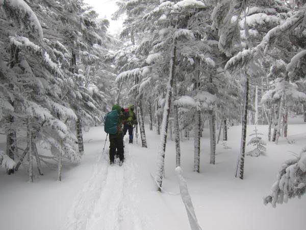 冬の八ヶ岳へ